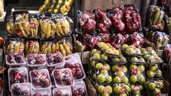 Qué envases se pueden emplear para contener alimentos